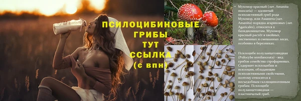 твердый Бородино