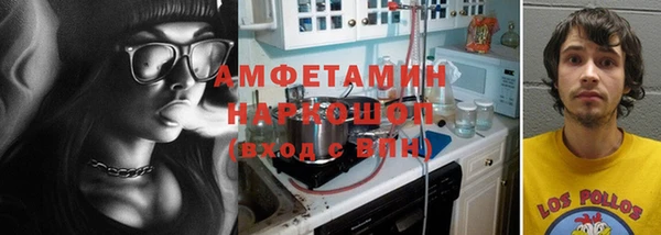 твердый Бородино