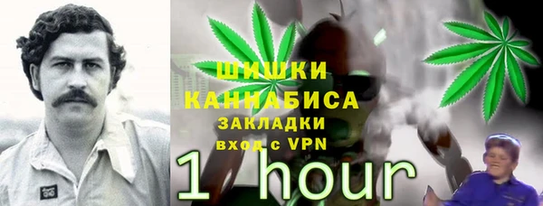 ECSTASY Бронницы