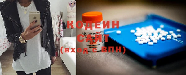 твердый Бородино
