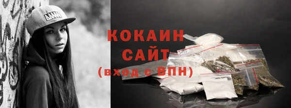твердый Бородино