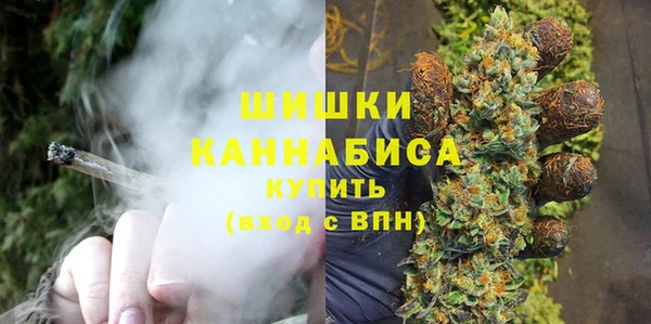 ECSTASY Бронницы
