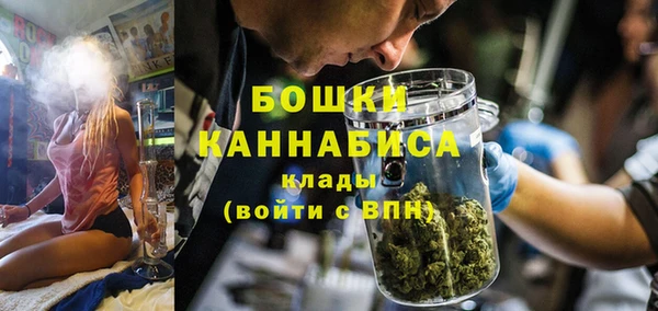 твердый Бородино