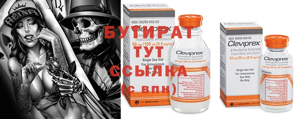 твердый Бородино