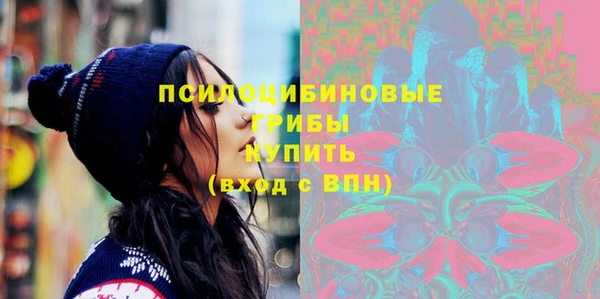 ECSTASY Бронницы