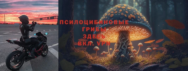 твердый Бородино