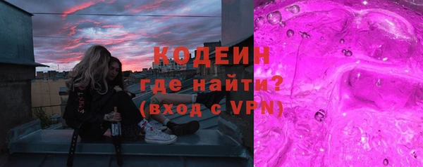 твердый Бородино