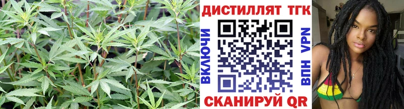 ТГК Wax мега зеркало Кириллов