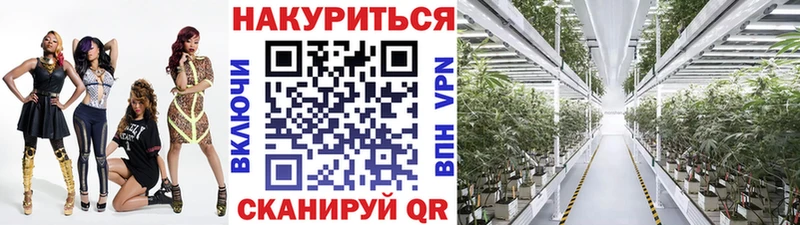 Бошки марихуана VHQ  Кириллов 